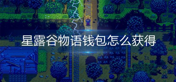 星露谷物语钱包如何获取 星露谷物语钱包获取方法
