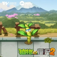 植物大战僵尸2石斛防风网怎么样 植物大战僵尸2石斛防风网介绍