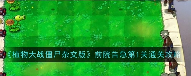 植物大战僵尸杂交版前院告急1通关流程