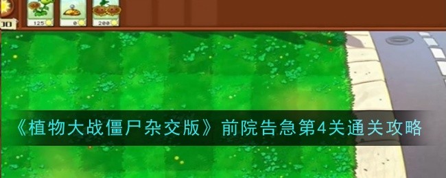 植物大战僵尸杂交版前院告急4通关流程