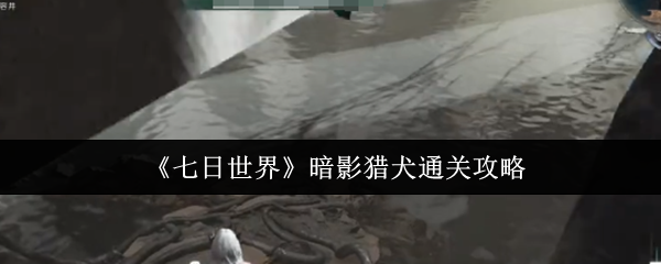 七日世界暗影猎犬怎么打