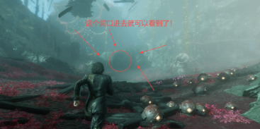 33号远征队白色经怪雷灵任务流程攻略
